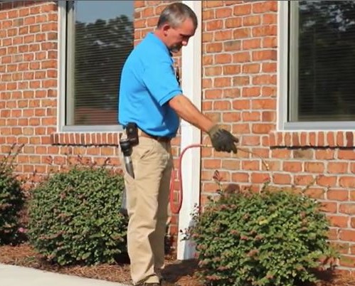 Pest Control in Wilmington, North Carolina