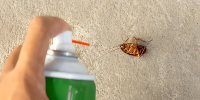 Exterminator in Wilmington, North Carolina